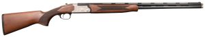 202cmptd6c0.jpg