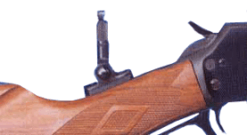 3902094.gif