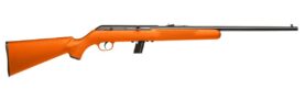 402203e68.jpg
