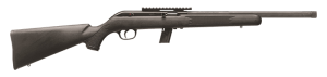 45110.png