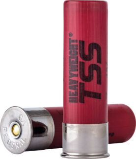 aptssx289f9.jpg