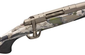 g036010297 bolt 1.jpg