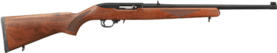 g1102.gif