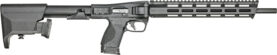 g12576.jpg