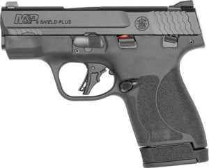 g13246.jpg