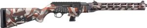 g19127r.jpg