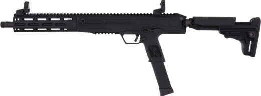 g19307 left.jpg
