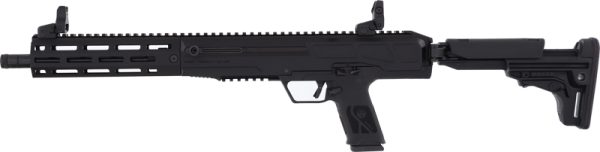 g19309 left.jpg