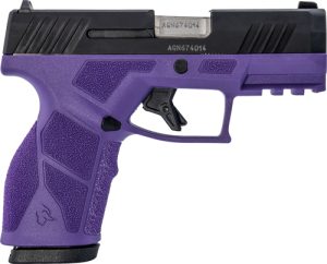 g1gx2931dp.jpg