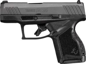 g1gx4m931.jpg
