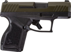 g1gx4m93b.jpg
