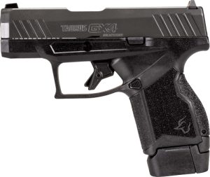 g1gx4m93gr10.jpg