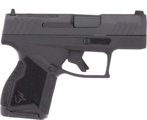 g1gx4mp931.jpg