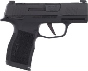 g365x9bxr3pms10.jpg