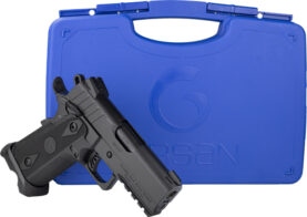 g395055 case.jpg