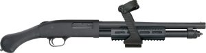 g50647.jpg