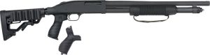 g50691.jpg