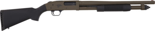 g50781.jpg