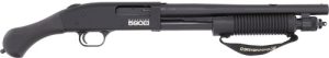 g51601.jpg