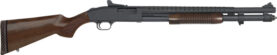 g51665.jpg