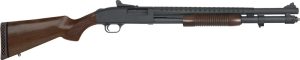 g51665.jpg