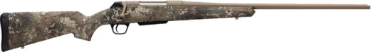 g535741212.jpg