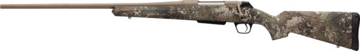 g535782212.jpg
