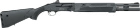 g85179.jpg
