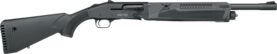 g85180.jpg