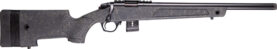gbmr011.jpg