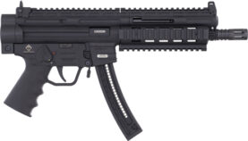 gerggsg16p22.jpg