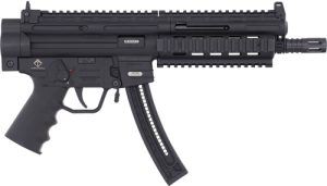 gerggsg16p22.jpg
