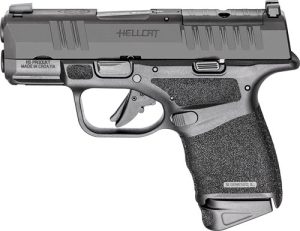 ghc9319bospca 1.jpg