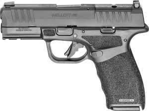 ghcp9379bospca.jpg
