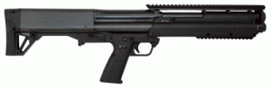 gksg 2.gif