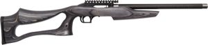 gssebp22g.jpg