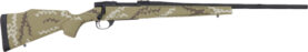 gvhh65cmr4b.jpg