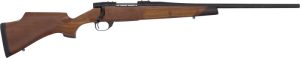 gvwr65cmr0t.jpg