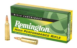 rem21311 1.jpg
