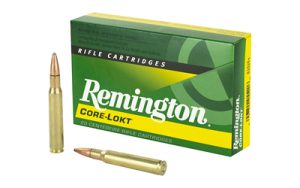 rem21415 1.jpg