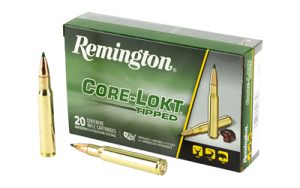 rem29037 1.jpg