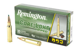 rem29041 1.jpg
