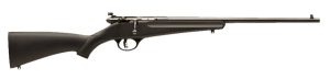 sv13775.jpg