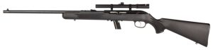 sv64flxp.jpg