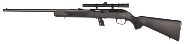 sv64flxp.jpg