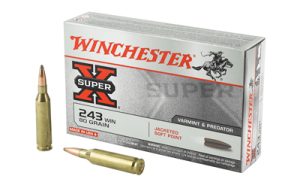 wnx2431 1.jpg