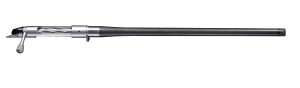 bgno6028f.jpg