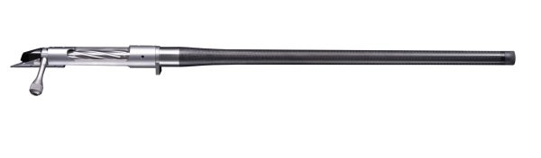 bgno6028f.jpg