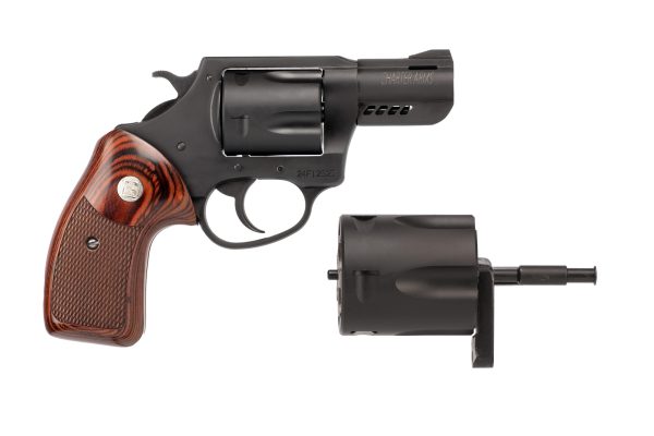 charterarms45b9.jpg
