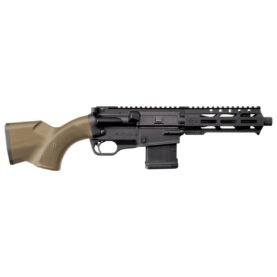 fl scr 556bpm fd 1 1.jpg